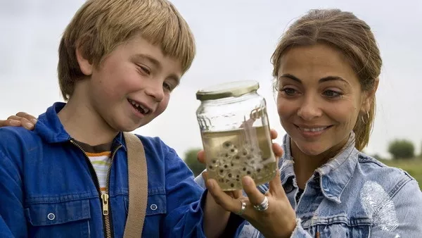 Жаби кекерици