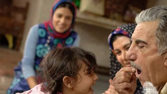 Бучка захар