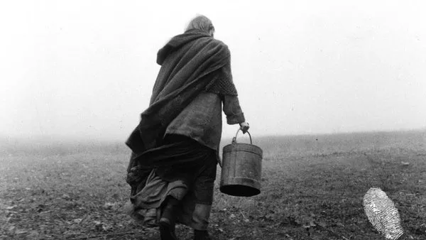 Торинският кон