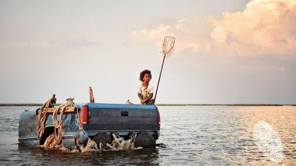 Зверовeте на дивия юг