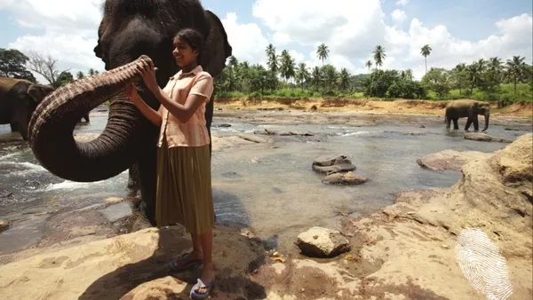 Дъщерята на повелителя на слоновете