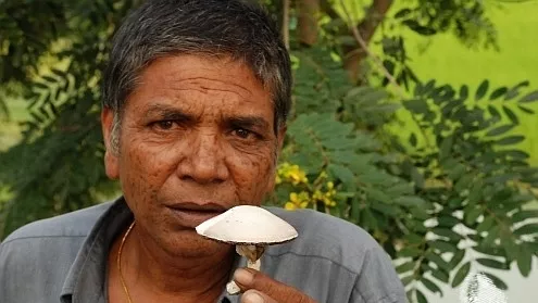 Свидетел на Земята