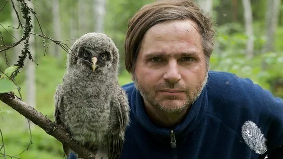 Дивата Скандинавия - Швеция