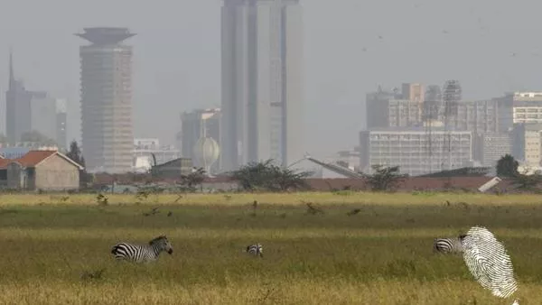 Дивият град Найроби