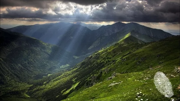 Зелената аптека