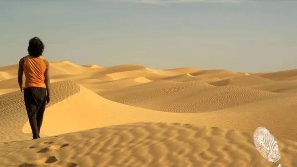 Цветята на Корана: Африка