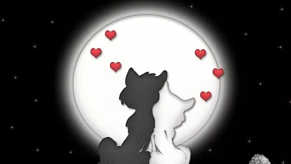 Любовна анимация