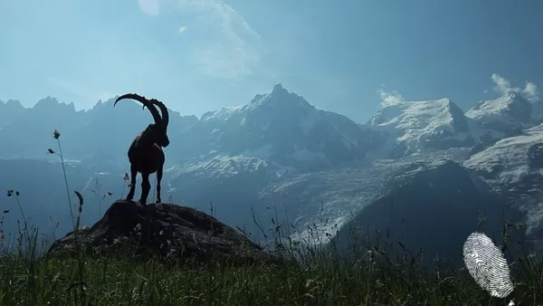 Ехо от ХІІ международен фестивал на планинарския филм в Банско’2012 (ден 1)