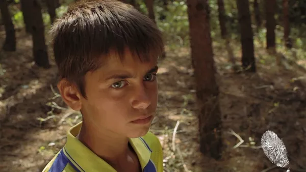 Слънце по време на дъжд