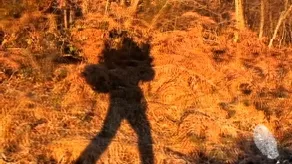 Щастие… обетована земя