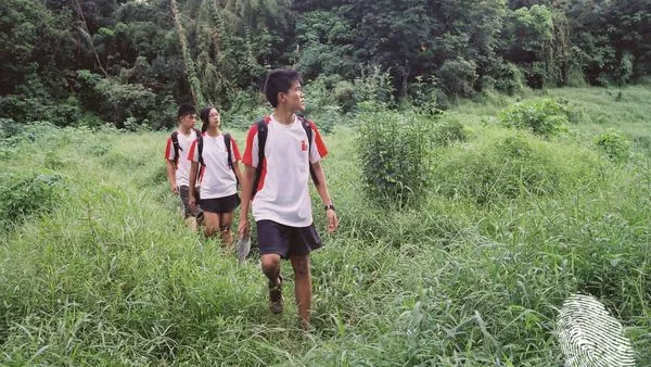 Червените водни кончета