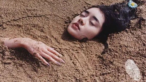 Хотел за птици