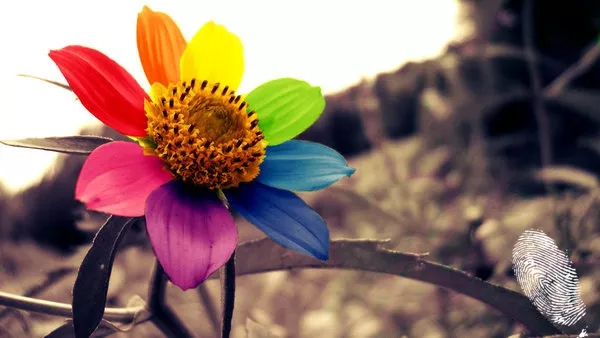 Разнообразието в нас