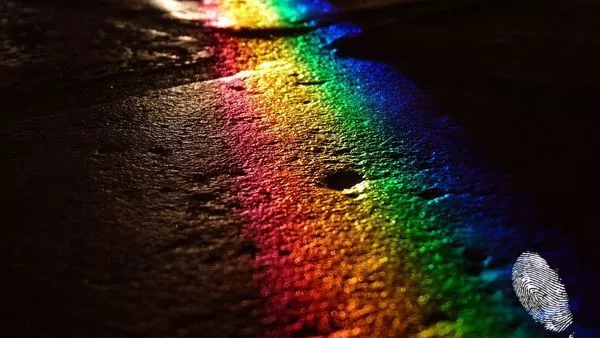 Семейства в цветовете на дъгата