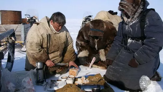 Мечешките острови