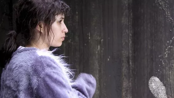 Filmini 2013: Фокус Бразилия