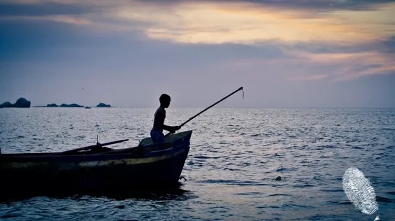 Оскар 2013: късометражни игрални филми