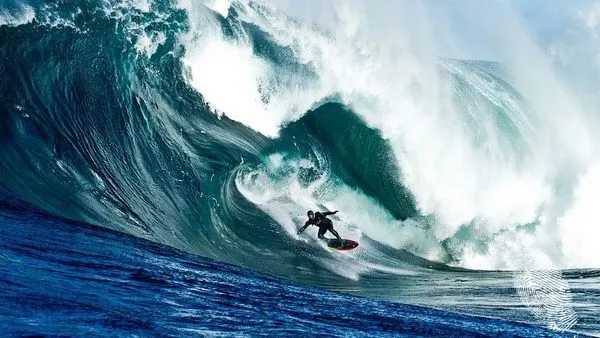 Ездачи на стихии 3D