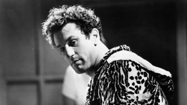 Разяреният бик