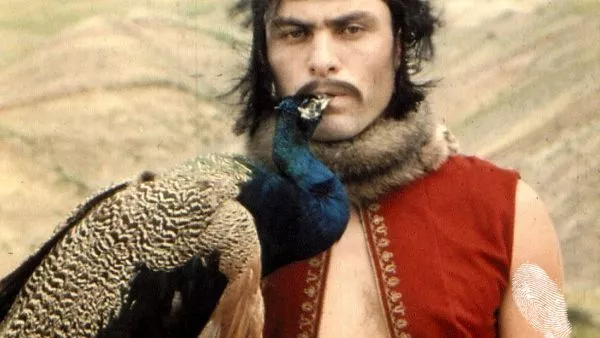 Цветът на нара