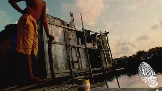 Заливът на светците