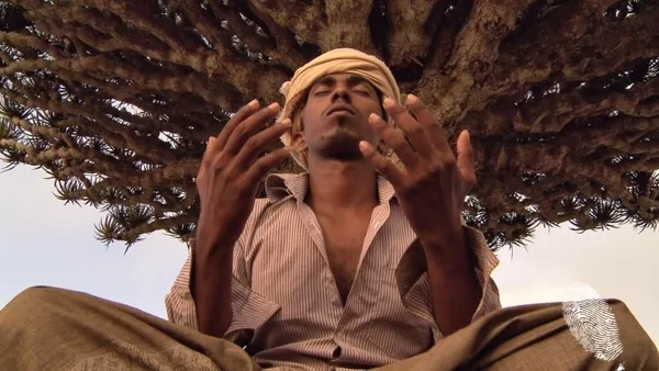 Непозната земя