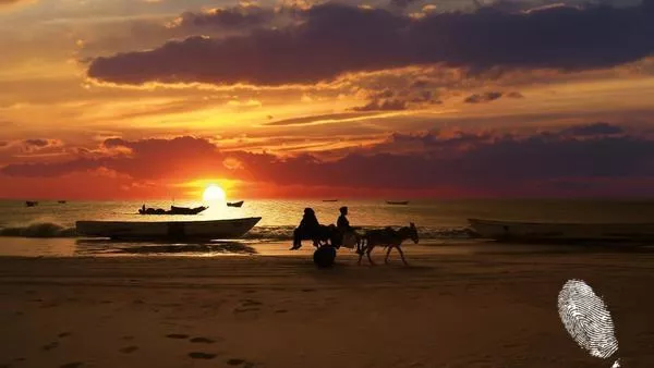 Програма „Африка”