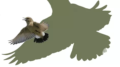 Природата на община Сливница