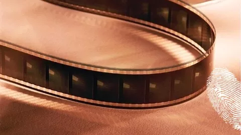 Дългият път към дома