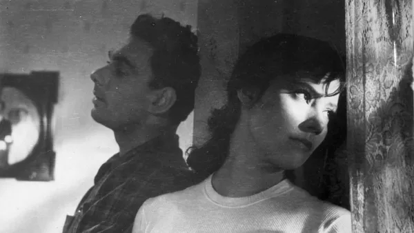 Летят жерави