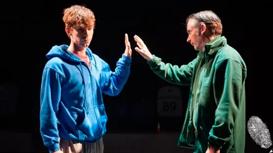 Странна нощна случка с куче