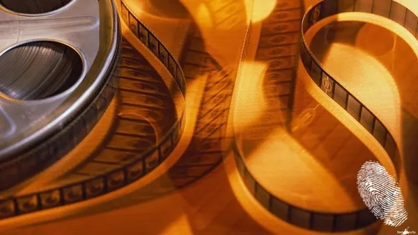 Всеки ден, всяка нощ