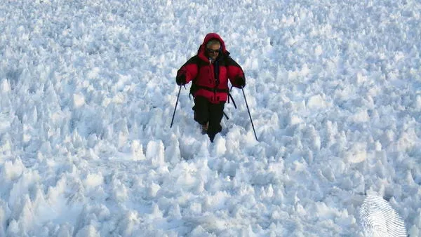 Осем първенци