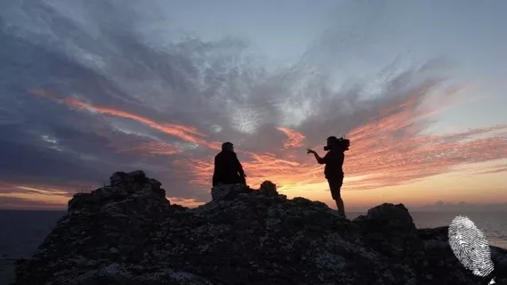 Да нахълташ у Бергман