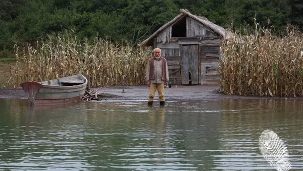 Царевичен остров