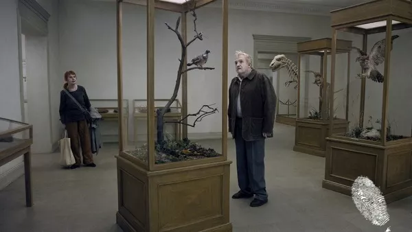 Гълъб, кацнал на клон, размишлява за битието