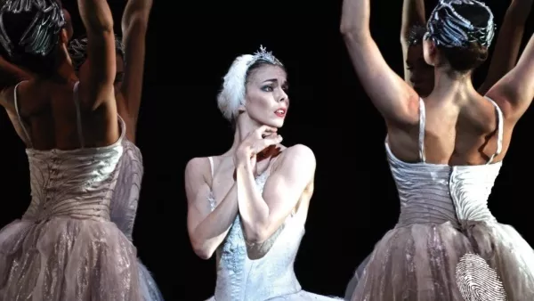 Лебедово езеро 3D