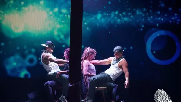 Професия: Стриптийзьор 2