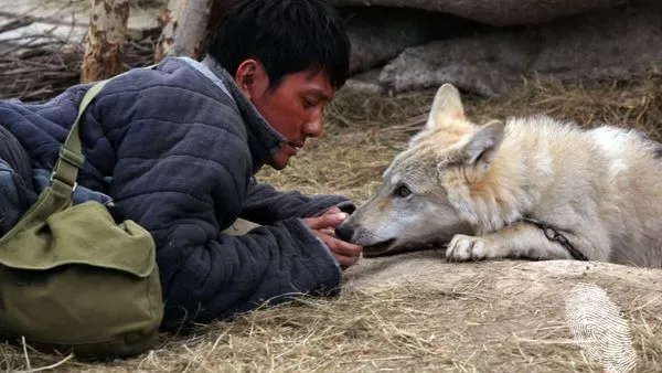 Вълчият тотем