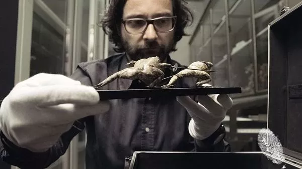 Големият музей