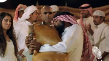 Дървото на сънищата