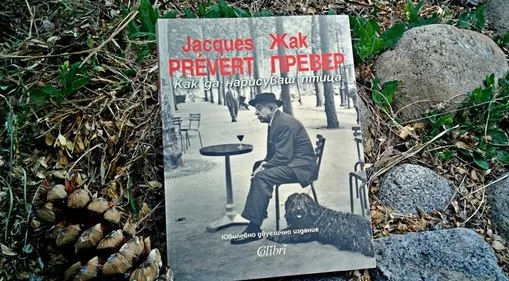 Как да нарисуваш птица