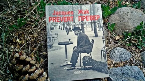 Как да нарисуваш птица