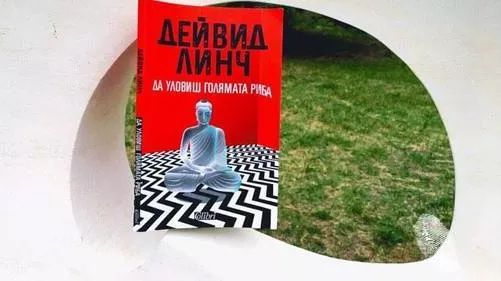 Да уловиш голямата риба