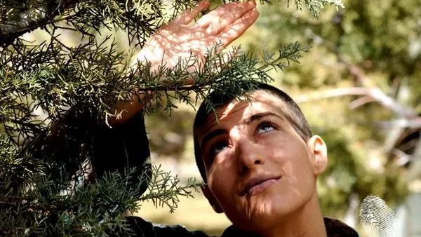 Полугласно