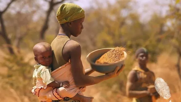 Късометражни филми 2016