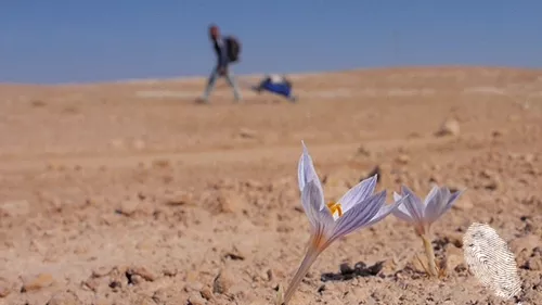 По стъпките на Бога