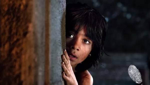 Книга за джунглата