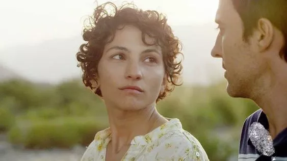 Магнетичното дърво