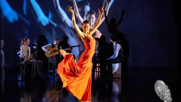 Хота на Саура: Отвъд фламенкото